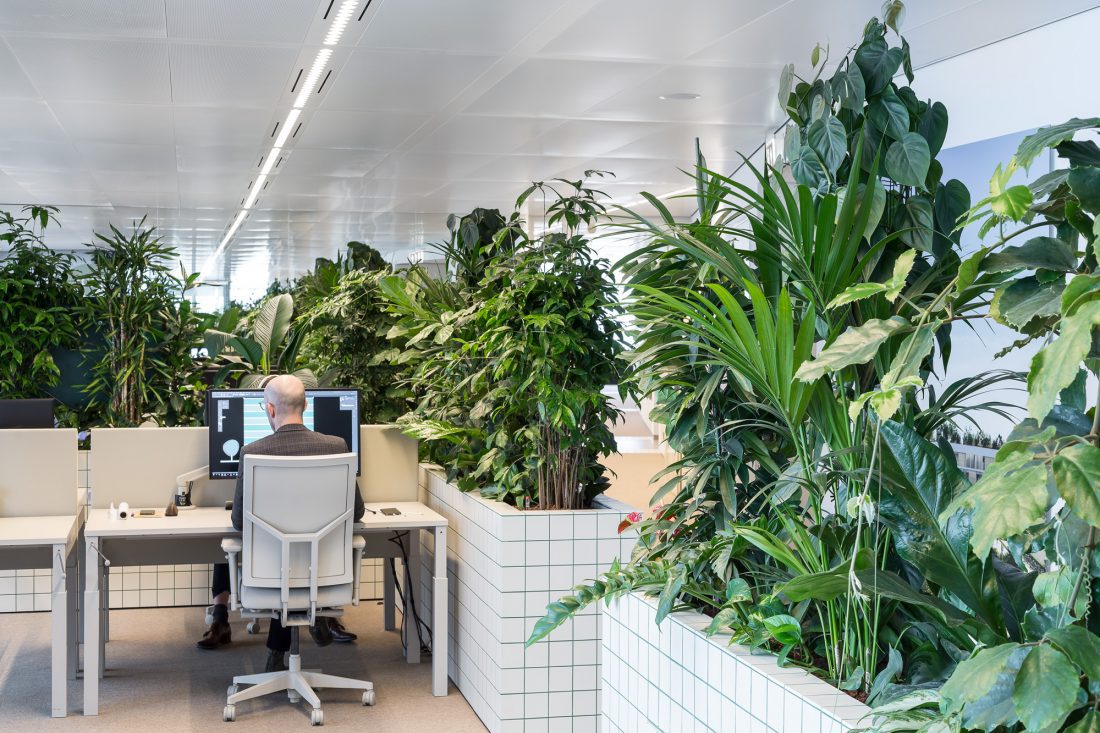 Sustainable Office