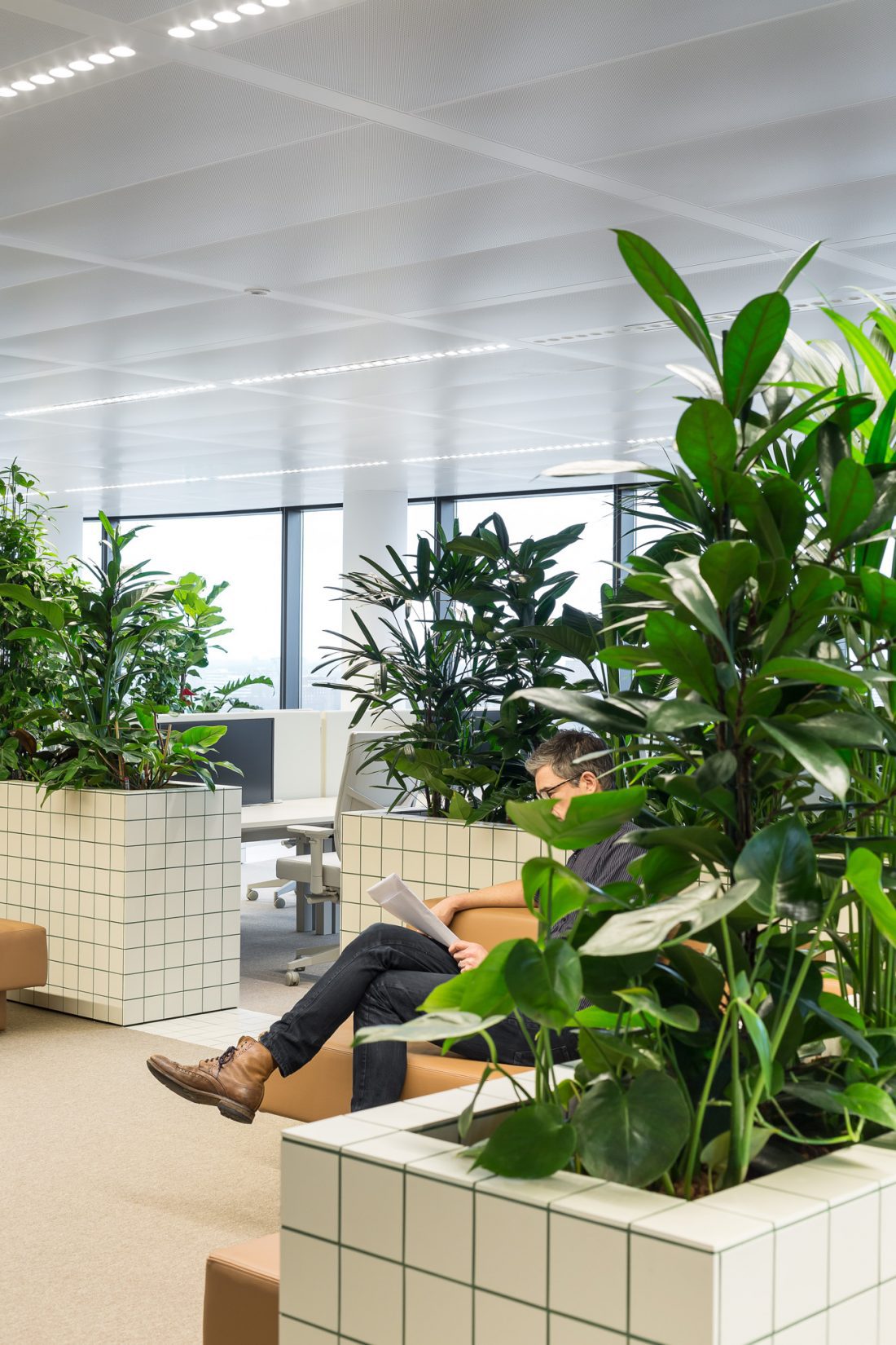 Sustainable office